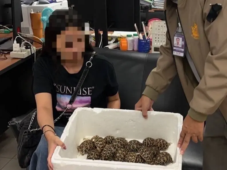 โป๊ะคาสุวรรณภูมิ สาวไต้หวันพิรุธ เรียกตรวจเจอเต็มๆ แปะไว้ตามตัว