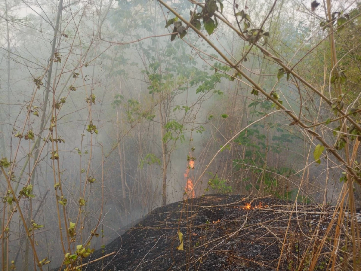 แม่ฮ่องสอนอ่วม ฝุ่น PM2.5 ปายพุ่ง 102.1 กระทบสุขภาพ