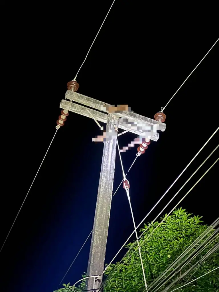 หนุ่มป่วยจิตเวชคลั่งปีนเสาไฟฟ้าแรงสูง ช็อตหัวขาดดับคาที่