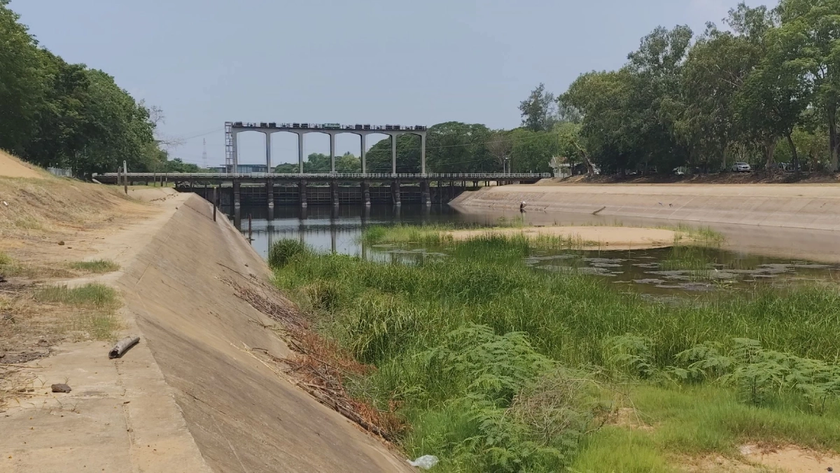 พิมายแล้งจัด! เขื่อนสั่งปิดประตูระบายน้ำ กระทบนาปรังจ่อตาย