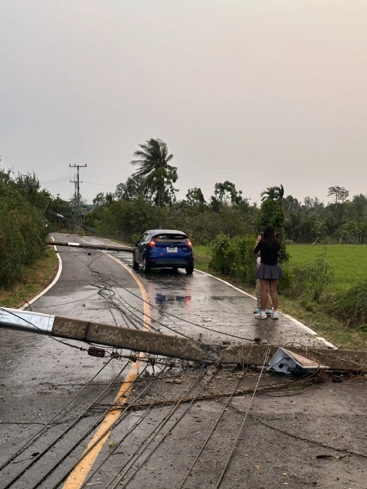 รอดปาฏิหาริย์! เสาไฟทับเก๋งพังยับ คอหวยแห่ส่องเลขทะเบียนลุ้นโชค