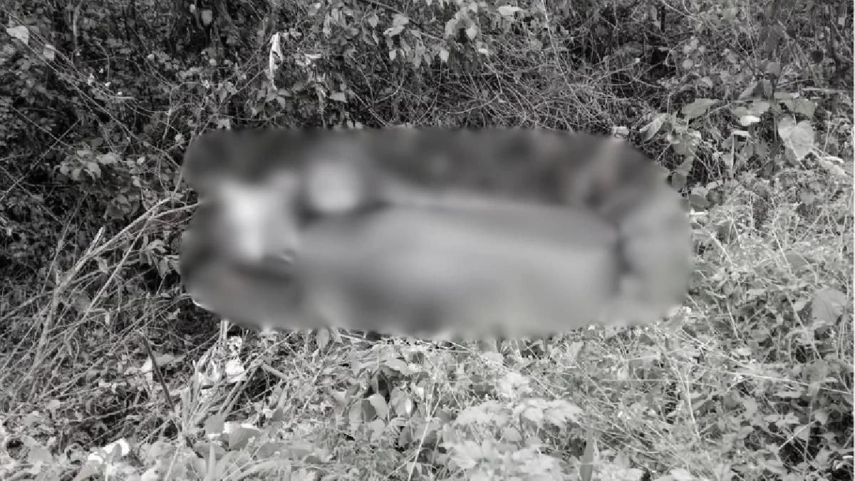 สลดหมู่ 8 ศพ แหกโค้งห้วยเย็น ทางหลวงปัว–บ่อเกลือ เจ็บระนาว 11 ราย