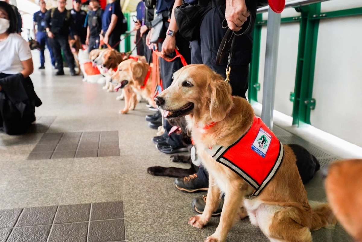 BTS เปิดสถานีต้อนรับทีม K9 USAR Thailand ซ้อมเคลื่อนย้ายกำลังพลผ่านระบบรถไฟฟ้า