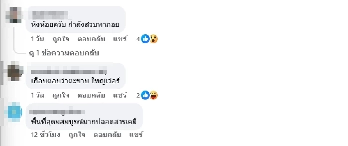 รู้แล้วตัวอะไร คลิปขนลุกสัตว์ปริศนารุมเหยื่อ ชาวเน็ตเฉลยตรงกัน