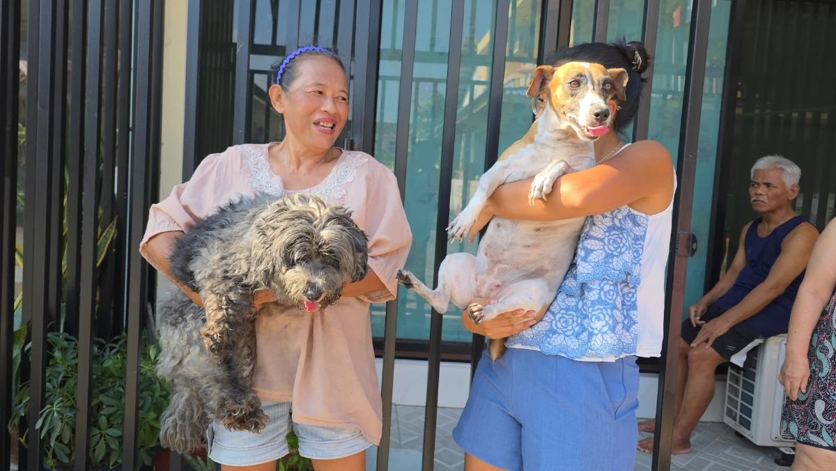 ไฟไหม้ตึกแถวสัตหีบ จนท.ลุยควันช่วย 2 สุนัขรอดหวุดหวิด