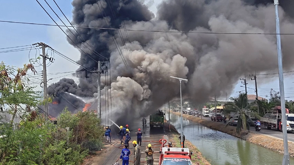 ไฟไหม้ป่าลามเผากองยางหลังเซียงกงรังสิต วอดรถยนต์ 2 คันรวด
