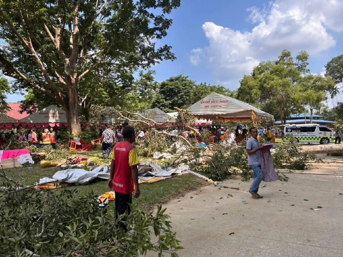 นาทีระทึก! ต้นไม้ร้อยปีถ้ำเขาเงินหักทับเต็นท์บุญ ดับ 2 เจ็บ 9 