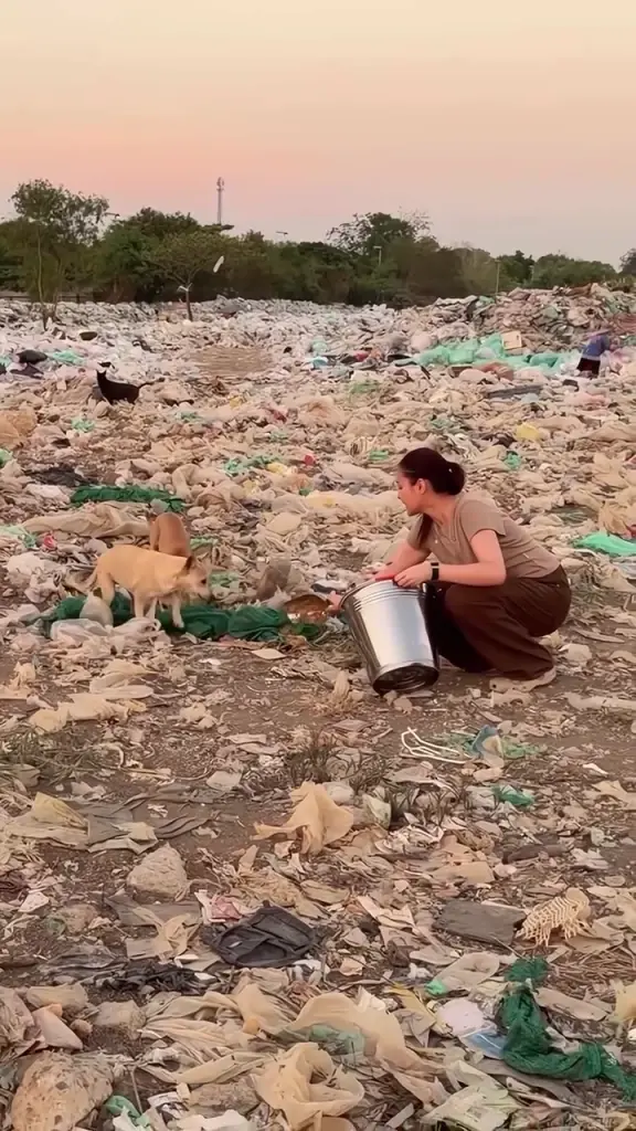 ปุ๊กลุก-ไมค์ สวมหัวใจนางฟ้าหมาจร ลุยคลองหลวงปรุงอาหารช่วยสี่ขา