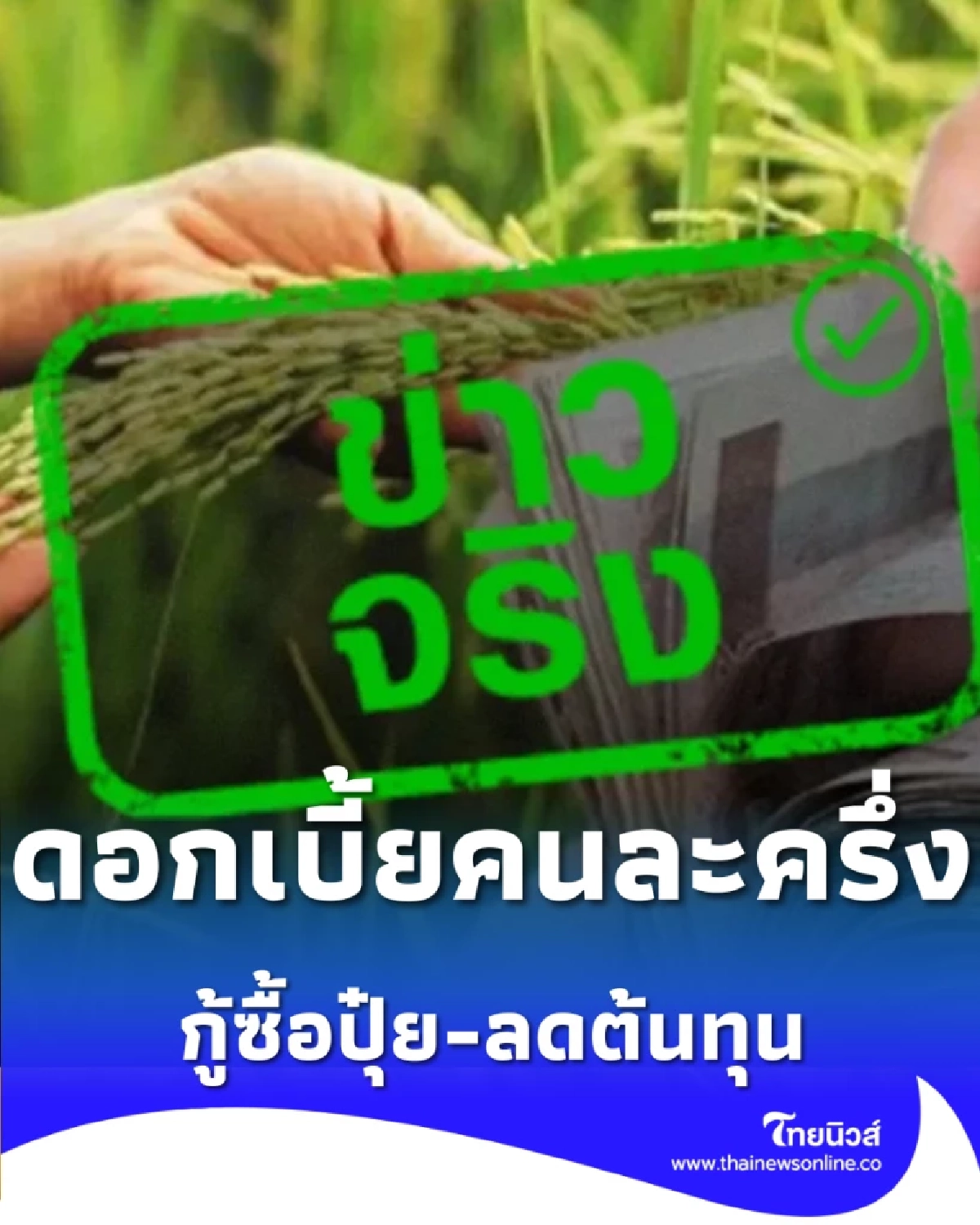 ธ.ก.ส. เตรียมปล่อยสินเชื่อดอกเบี้ยคนละครึ่ง อุ้มเกษตรกรสู้ราคาปุ๋ย