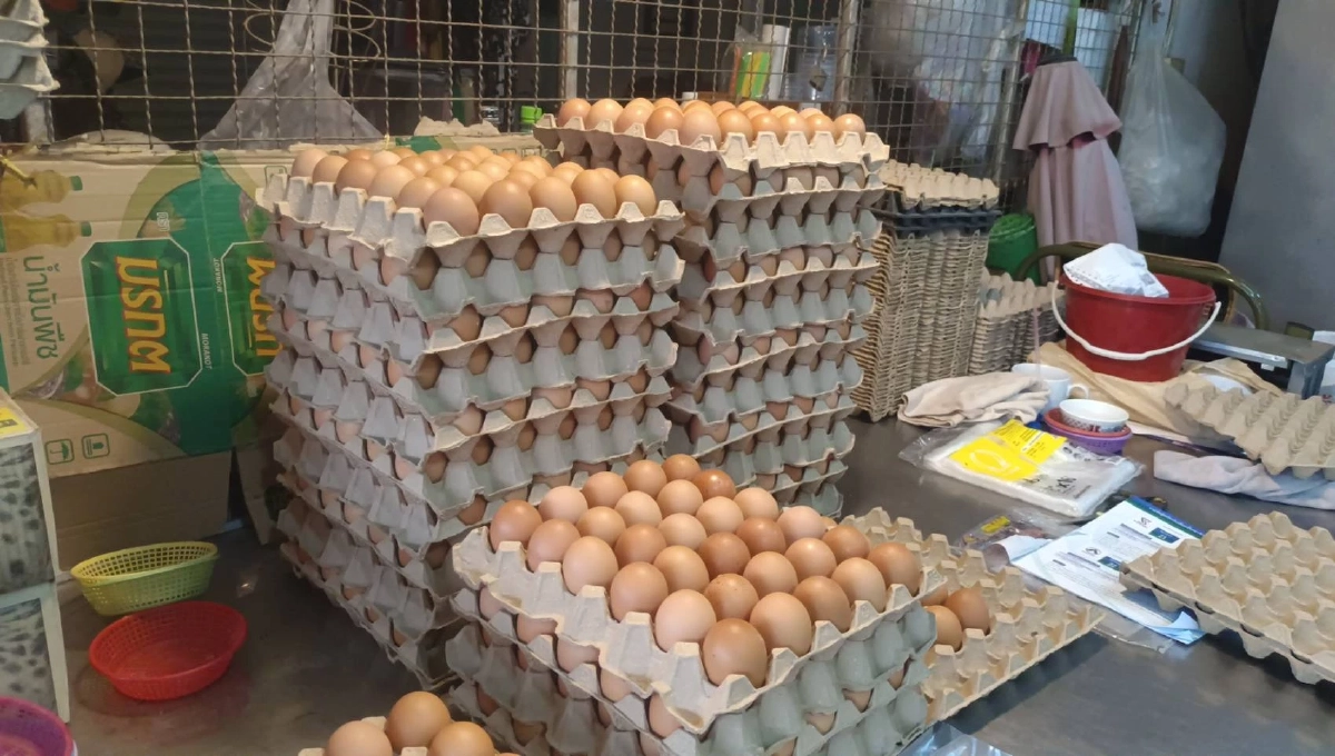 ชาวชัยภูมิโอดน้ำมันแพงฉุดราคาสินค้าพุ่ง วอนรัฐเร่งแก้ก่อนสงกรานต์