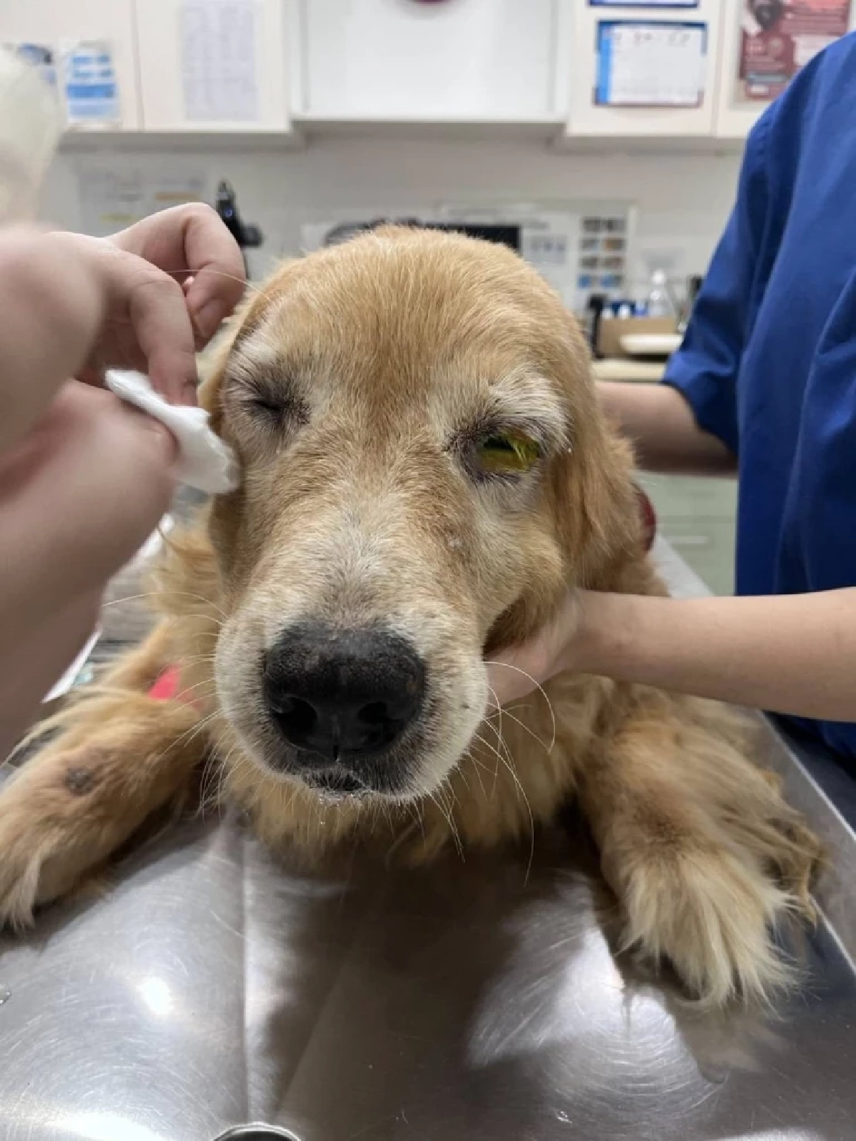 ภาพ @ไมกี้จอมป่วน