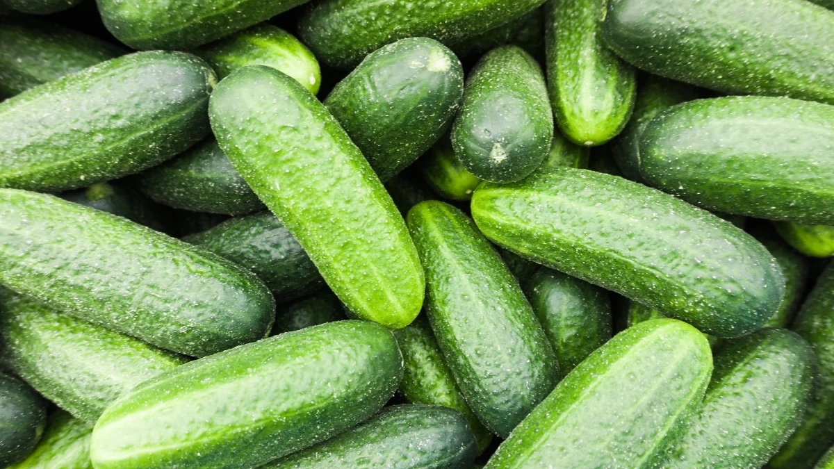 ไขข้อสงสัย! “แตงกวา” แท้จริงคือผักหรือผลไม้ คำตอบทำหลายคนอึ้ง