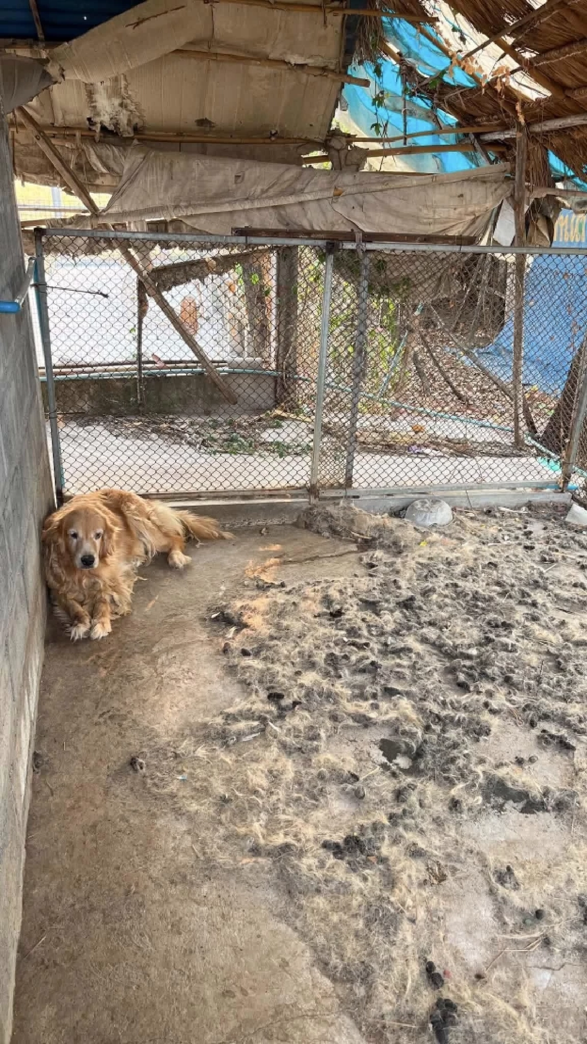 ภาพ @ไมกี้จอมป่วน