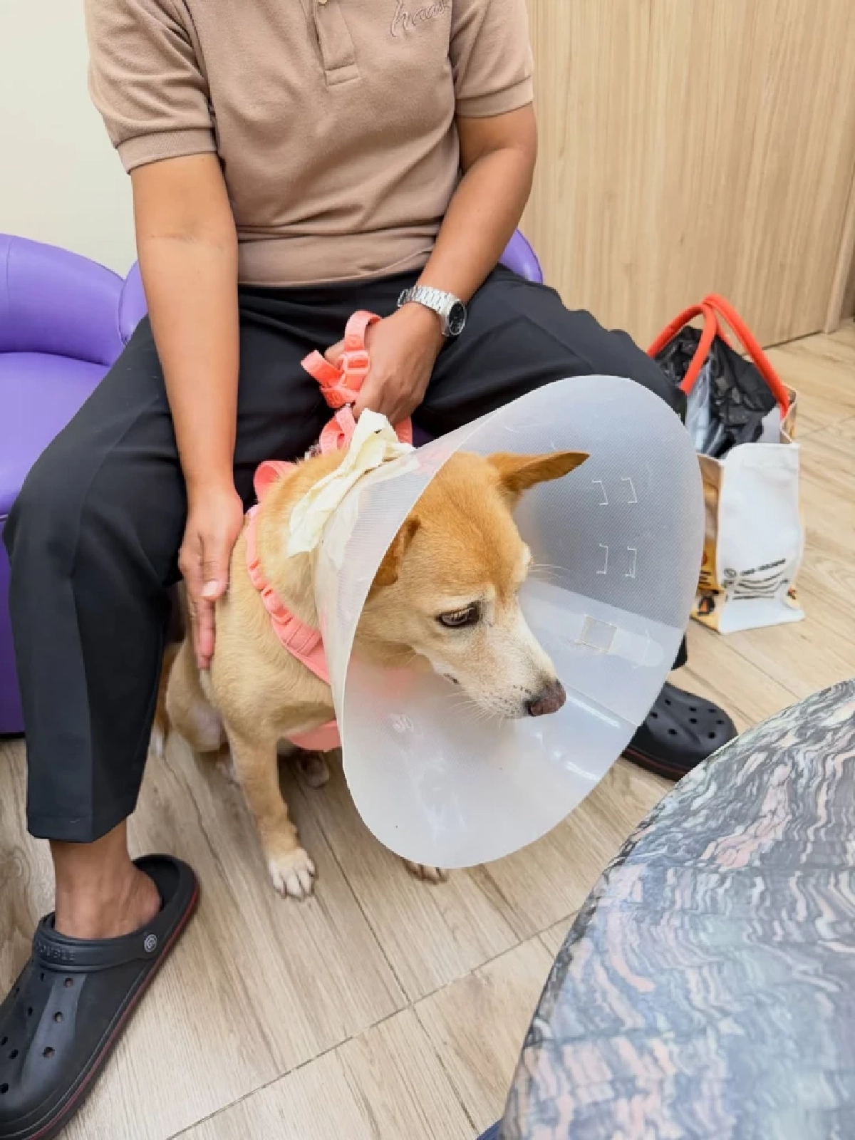 แฟนคลับส่งกำลังใจ อั้ม พัชราภา  หลัง “น้องถั่ว” ต้องสู้มะเร็ง 