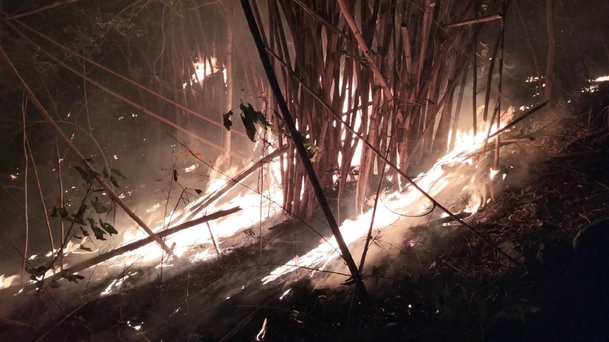 หลักฐานมัดตัว สมาชิก อบต. เผาป่าวอด ล่ากระทิงแก่งกระจาน