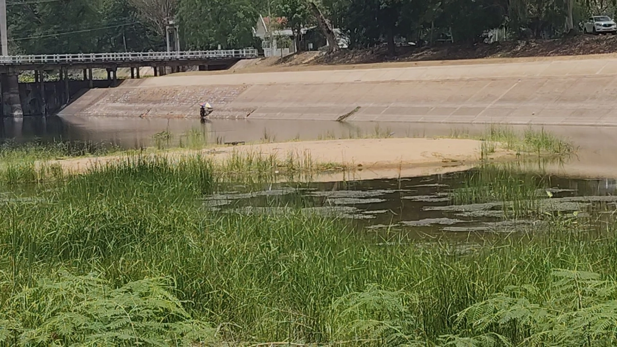 พิมายแล้งจัด! เขื่อนสั่งปิดประตูระบายน้ำ กระทบนาปรังจ่อตาย