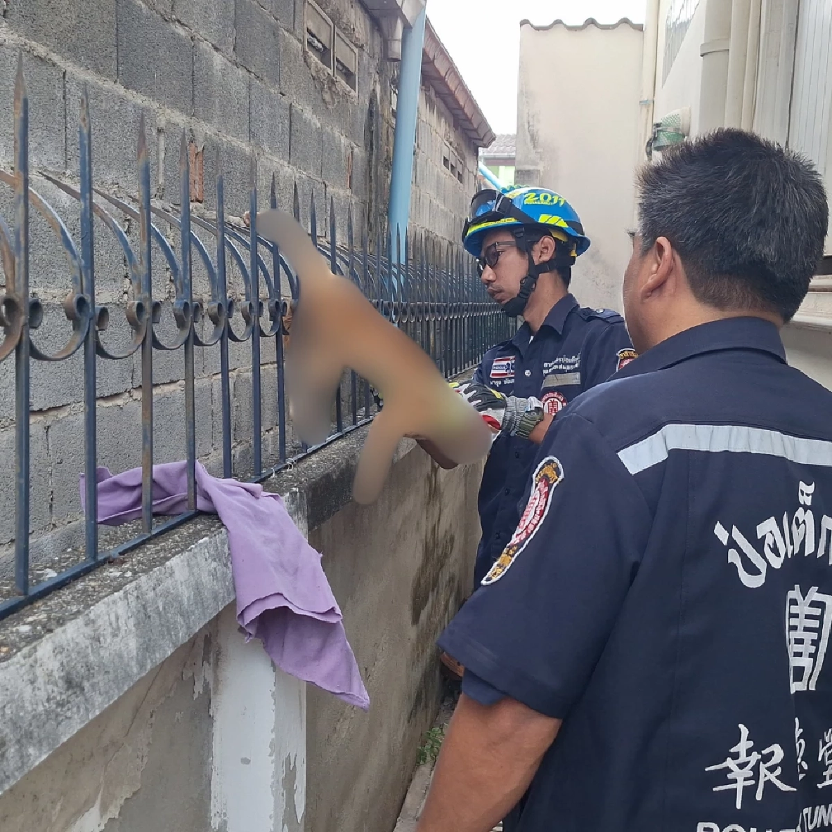 วินาทีชีวิต! แมวส้มเคราะห์ร้ายร่วงตกหลังคาถูกเหล็กเสียบ