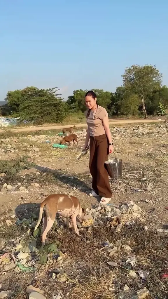 ปุ๊กลุก-ไมค์ สวมหัวใจนางฟ้าหมาจร ลุยคลองหลวงปรุงอาหารช่วยสี่ขา