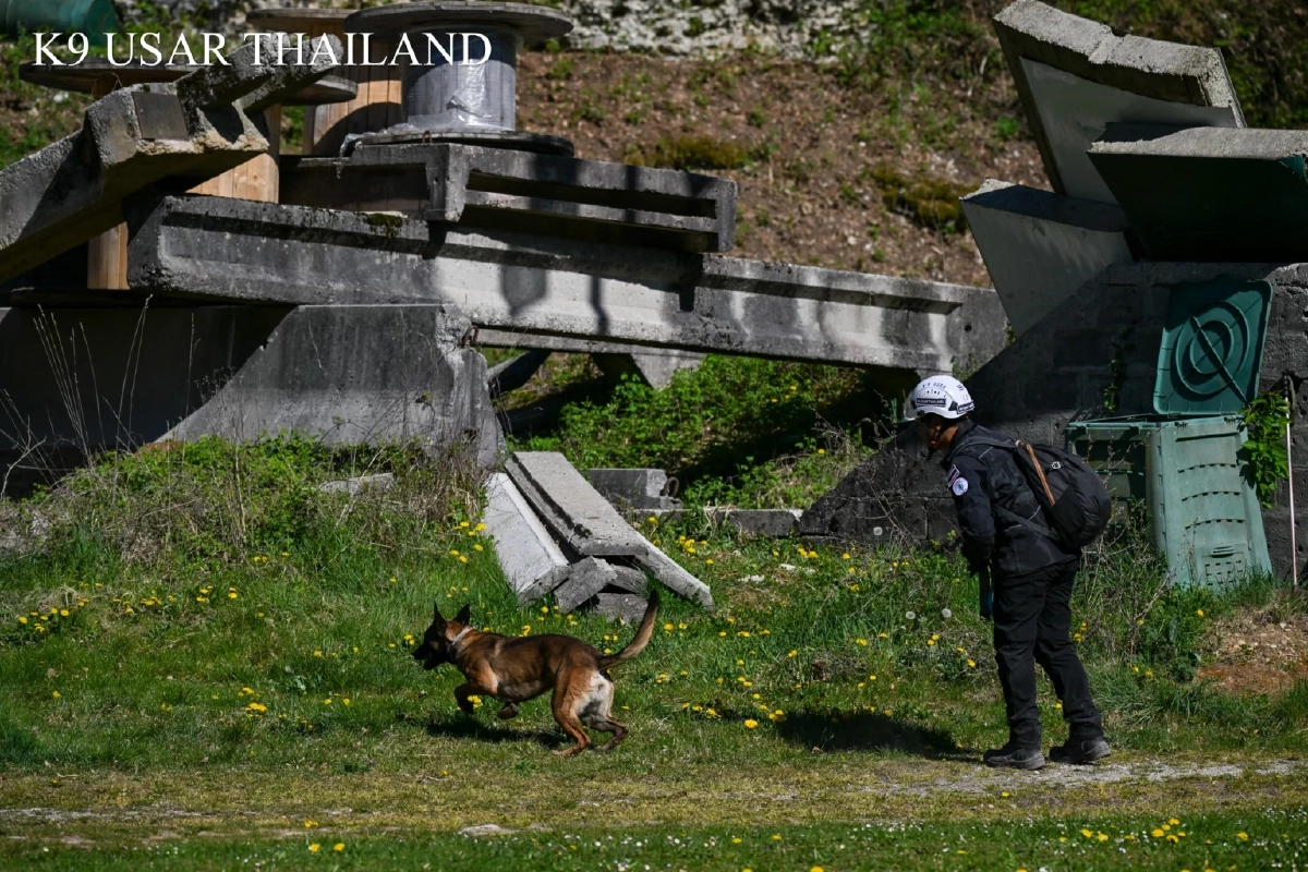 ระดับท็อป! นวล-นารี สอบผ่านระดับโลก พร้อมลุยกู้ภัยนานาชาติ