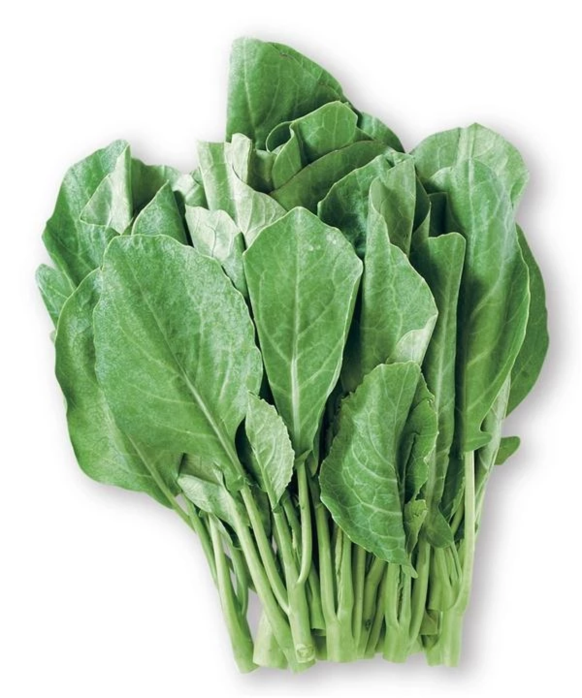 3 ผักใกล้ตัว ช่วยเคลียร์ลำไส้ ขับถ่ายดีขึ้นแบบธรรมชาติ