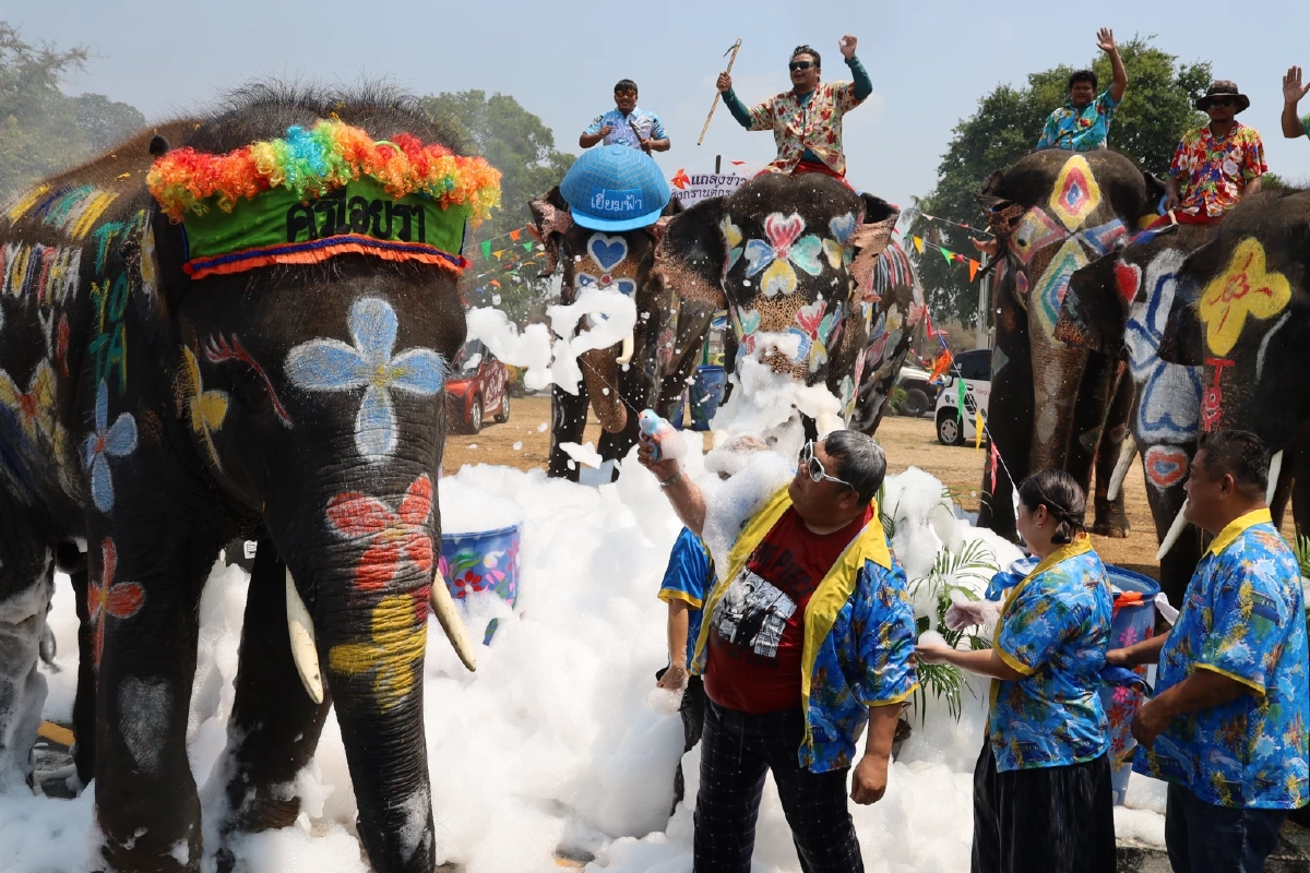 อยุธยาพร้อม! ขนช้าง 10 เชือกเล่นน้ำปาร์ตี้โฟมรับสงกรานต์