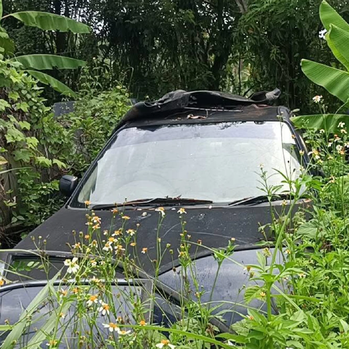 ยิ่งสลดหนัก คาดสาเหตุ น้องเบส เสียชีวิตในซายรถกลางป่า