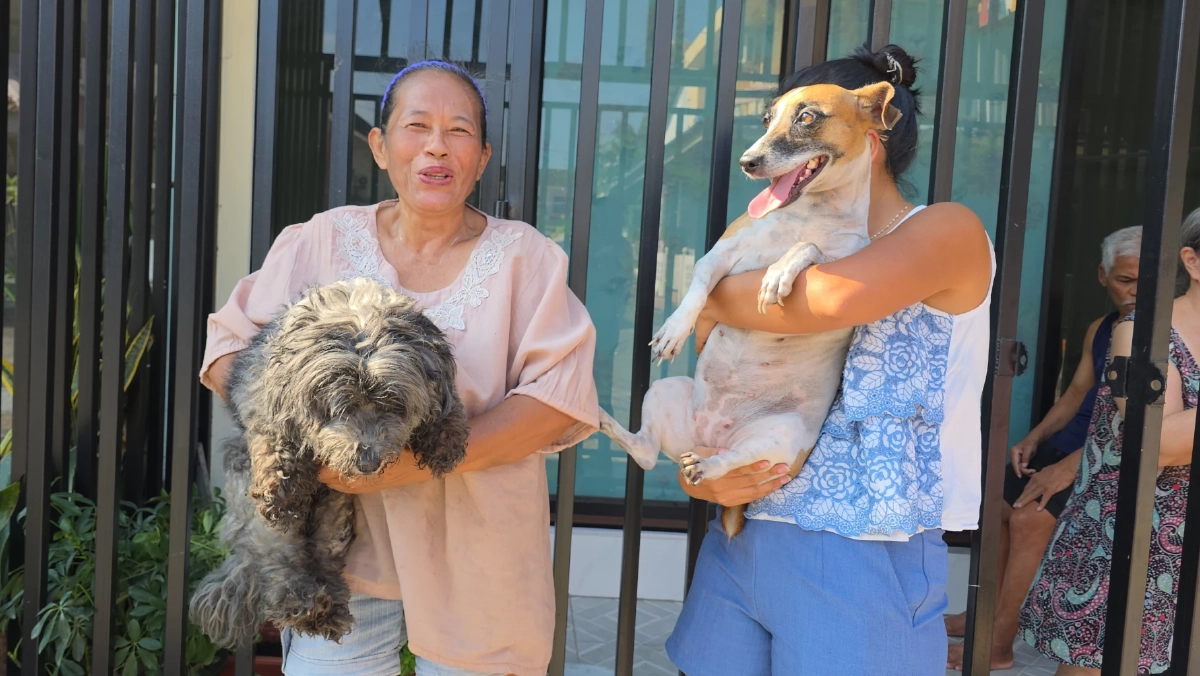 ไฟไหม้ตึกแถวสัตหีบ จนท.ลุยควันช่วย 2 สุนัขรอดหวุดหวิด