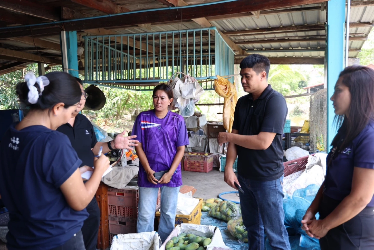 ดอยคำ เร่งรับซื้อ "มะม่วงกวน" แก้ปัญหามะม่วงราคาตก ช่วยเพิ่มรายได้เกษตรกรอ่างทอง