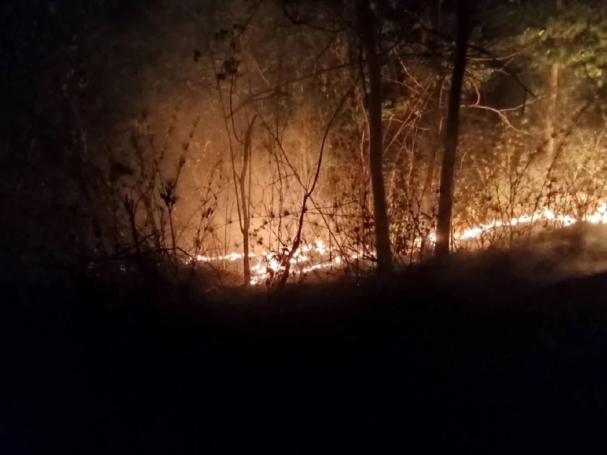 จังหวัดเลยวิกฤต ฝุ่น PM 2.5 พุ่งระดับสีแดง พบจุดความร้อน 33 จุด