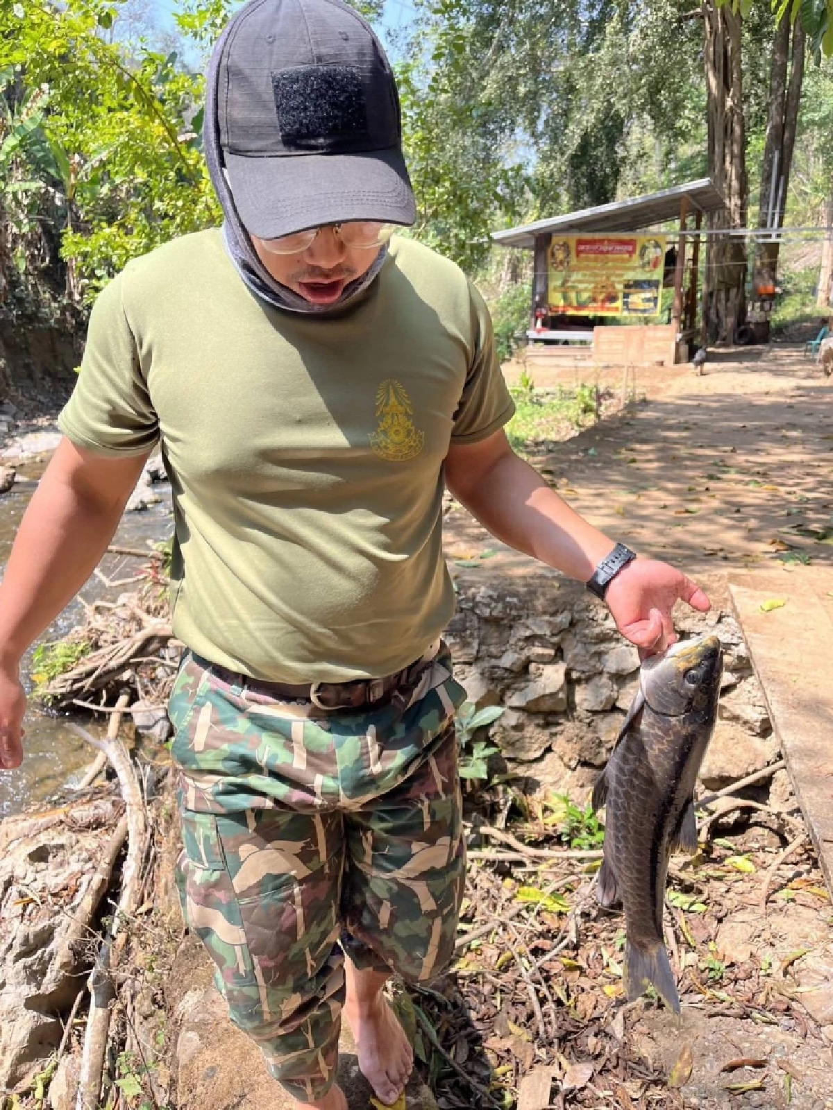 ผู้ว่าฯ แม่ฮ่องสอนยันปลาตายไม่ใช่สารเคมี ยันบริโภคได้