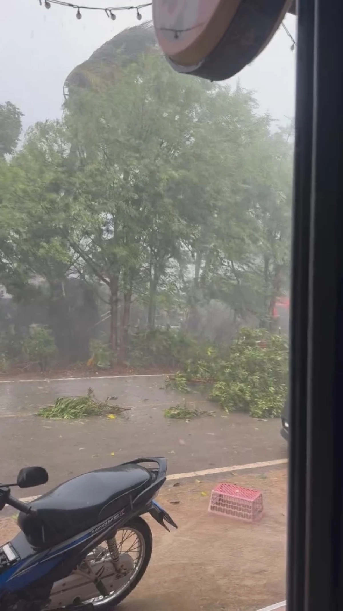 พายุฤดูร้อนถล่มโคราช ปากช่อง-สีคิ้วอ่วม ลมกระโชกแรงต้นไม้หัก