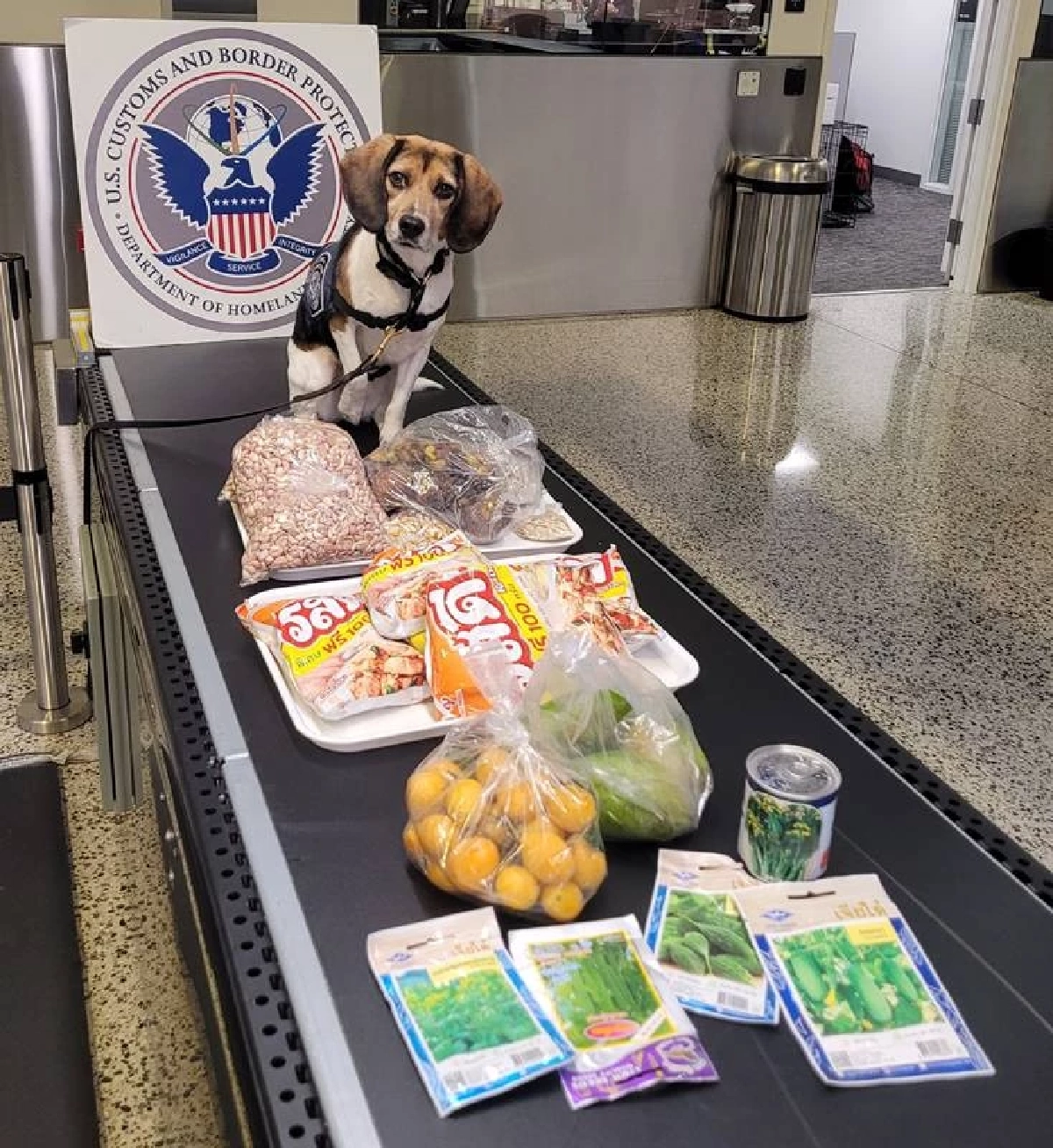 เจ้าโคโค่ K9 จมูกไว ตรวจเจอพัสดุชุดใหญ่ ยึดเกลี้ยงแต่มีข้อยกเว้น