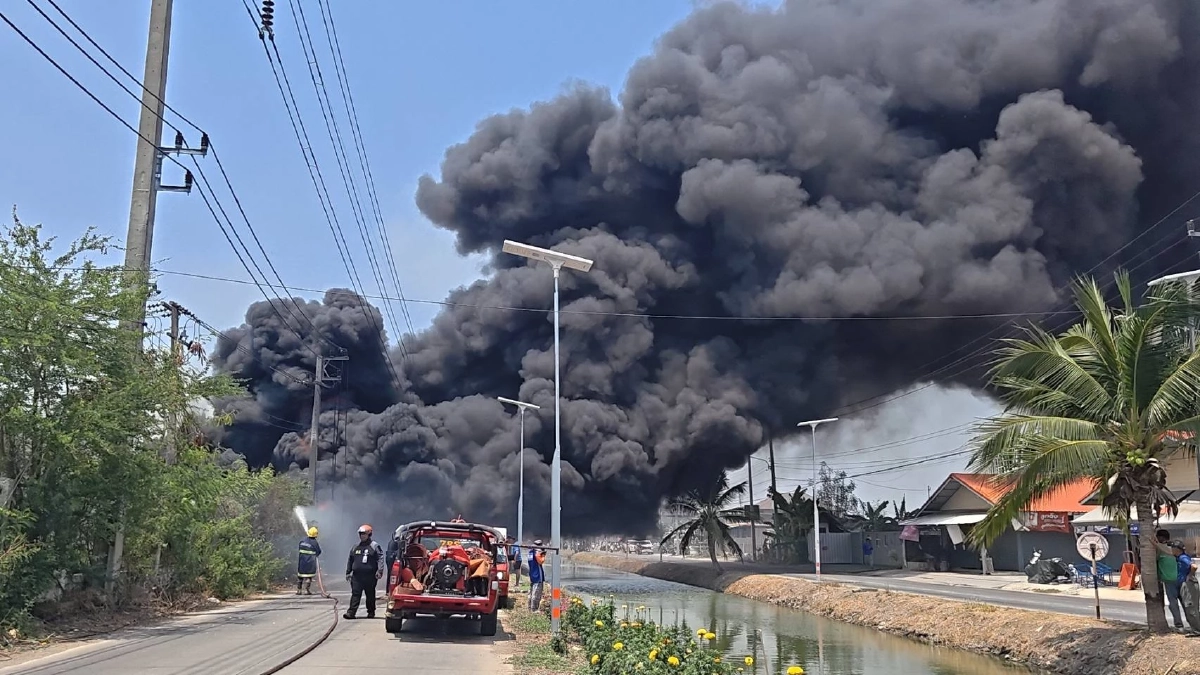 ไฟไหม้ป่าลามเผากองยางหลังเซียงกงรังสิต วอดรถยนต์ 2 คันรวด