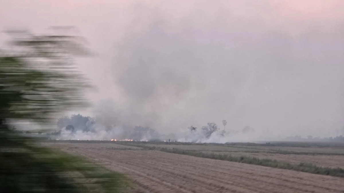 พิษณุโลกวิกฤต! ชาวนายังเผาฟางควันคลุ้ง ค่าฝุ่นพุ่งกระฉูด