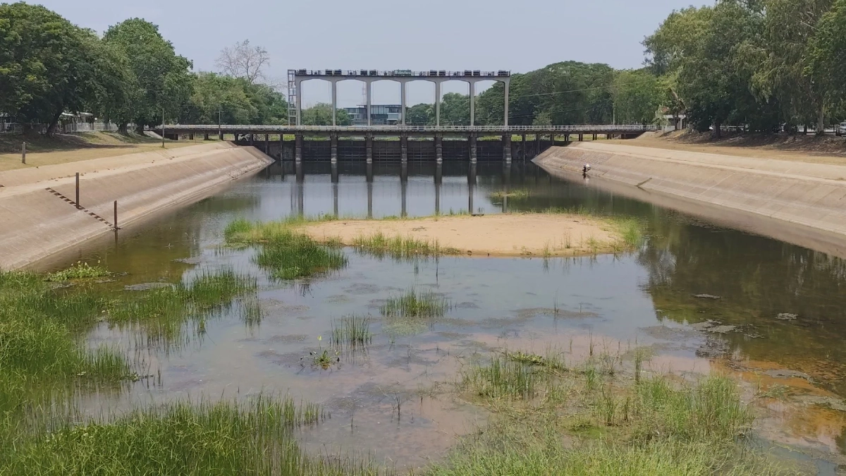 พิมายแล้งจัด! เขื่อนสั่งปิดประตูระบายน้ำ กระทบนาปรังจ่อตาย