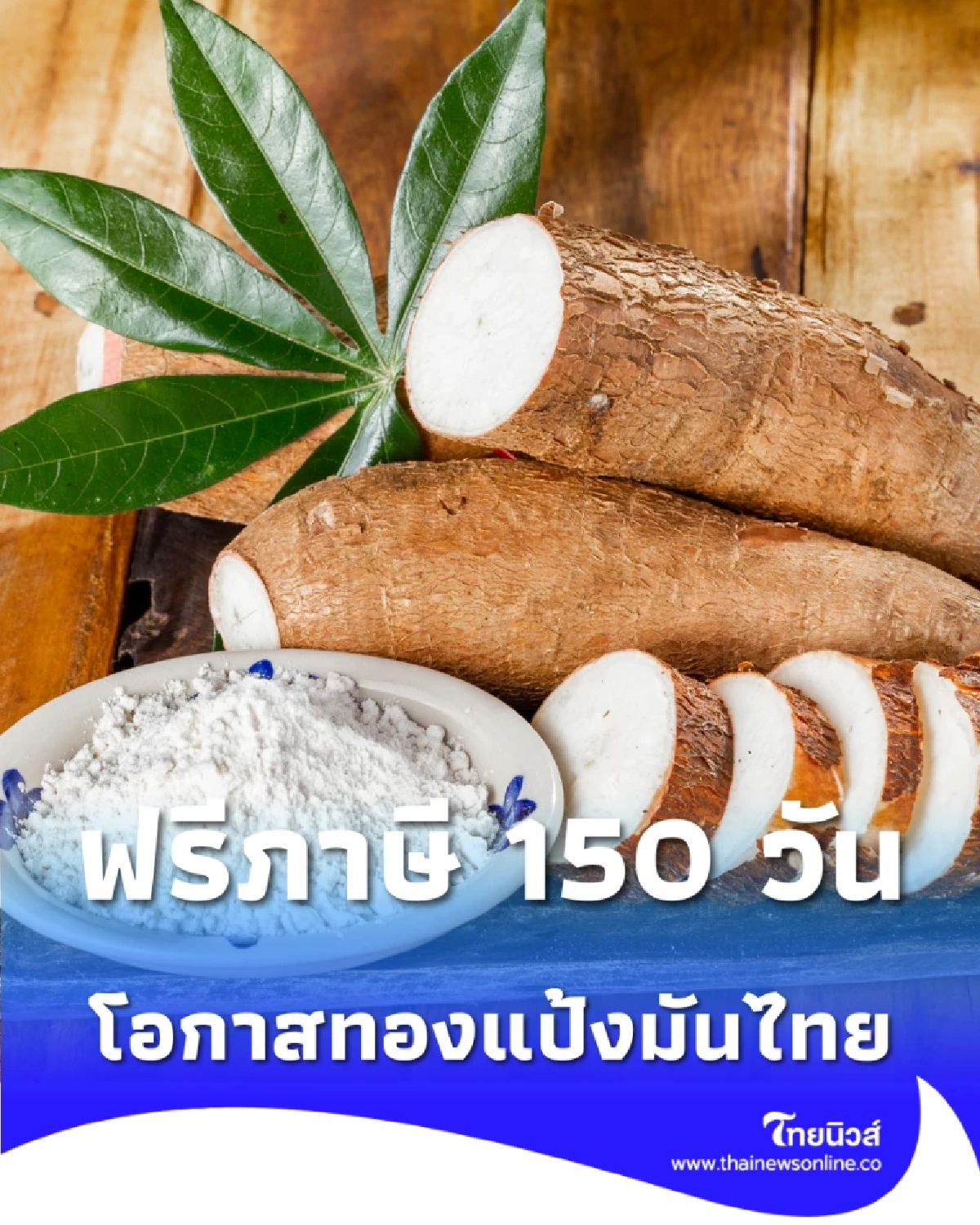 โอกาสทองแป้งมันไทย สหรัฐฯ เว้นภาษีนำเข้า 150 วัน ถึง 24 ก.ค. นี้
