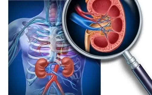 อย่าชะล่าใจ! 3 นิสัยทำร้ายไต เผลอทำทุกวันเสี่ยงโรคเรื้อรัง