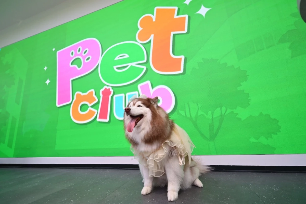 "เจ้านาย จินเจษฎ์" จูงเจ้าสี่ขา มีโชค เดินพรมเขียวสร้างรอยยิ้มในงาน AIS SIAM "PET CLUB"