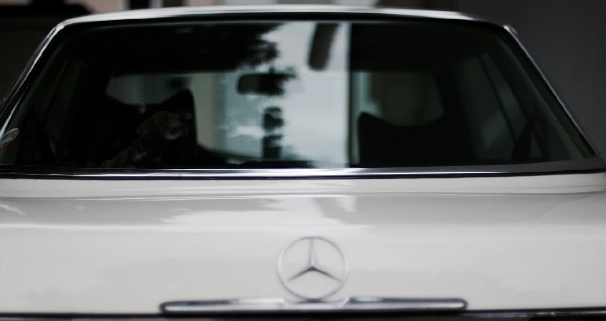 มหาเศรษฐีฝัง เบนซ์ 5 ล้าน ให้ผู้ล่วงลับ สุดท้ายงานเข้า โดนตำรวจจับ