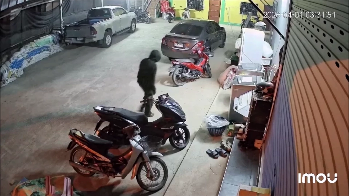 แม่สายผวาแก๊งวัยรุ่นบุกหอพักฉก จยย. 2 คัน คาดส่งขายเพื่อนบ้าน