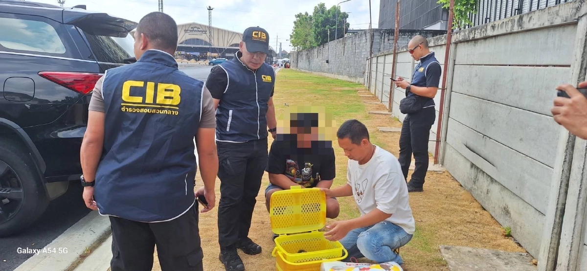 ทลายแก๊งข้ามชาติ! รวบไทย-อินเดีย ค้าค่างแว่นถิ่นใต้