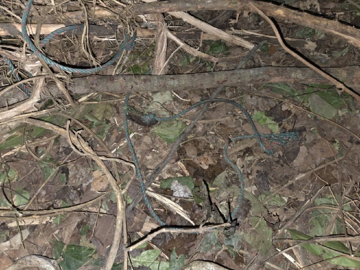 ระทึก! จนท.เข้าช่วย ลูกช้างป่าอ่างฤาไนติดบ่วงดักสัตว์