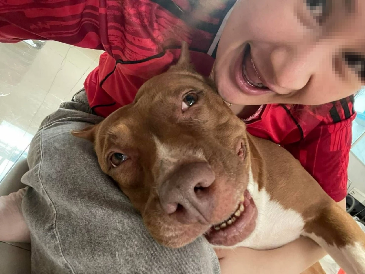 เจ้าของช้ำใจ ส่งน้องหมาผ่าตัดธรรมดาๆ กลับกลายเป็นฝันร้าย