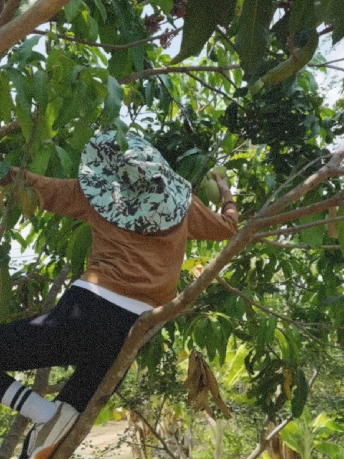 ใบเฟิร์น พิมพ์ชนก ควงคุณแม่เก็บมะม่วง โมเมนต์เรียบง่ายแต่อบอุ่น