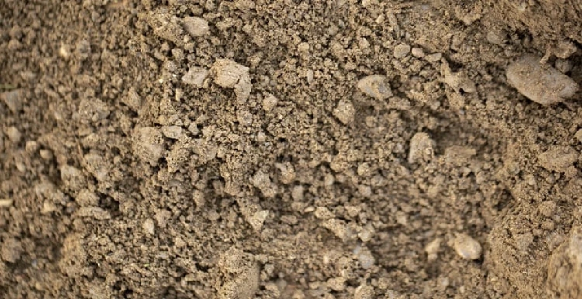 “ไข้ดิน” โรคใกล้ตัวที่มองข้ามไม่ได้ ติดง่ายช่วงหน้าฝน