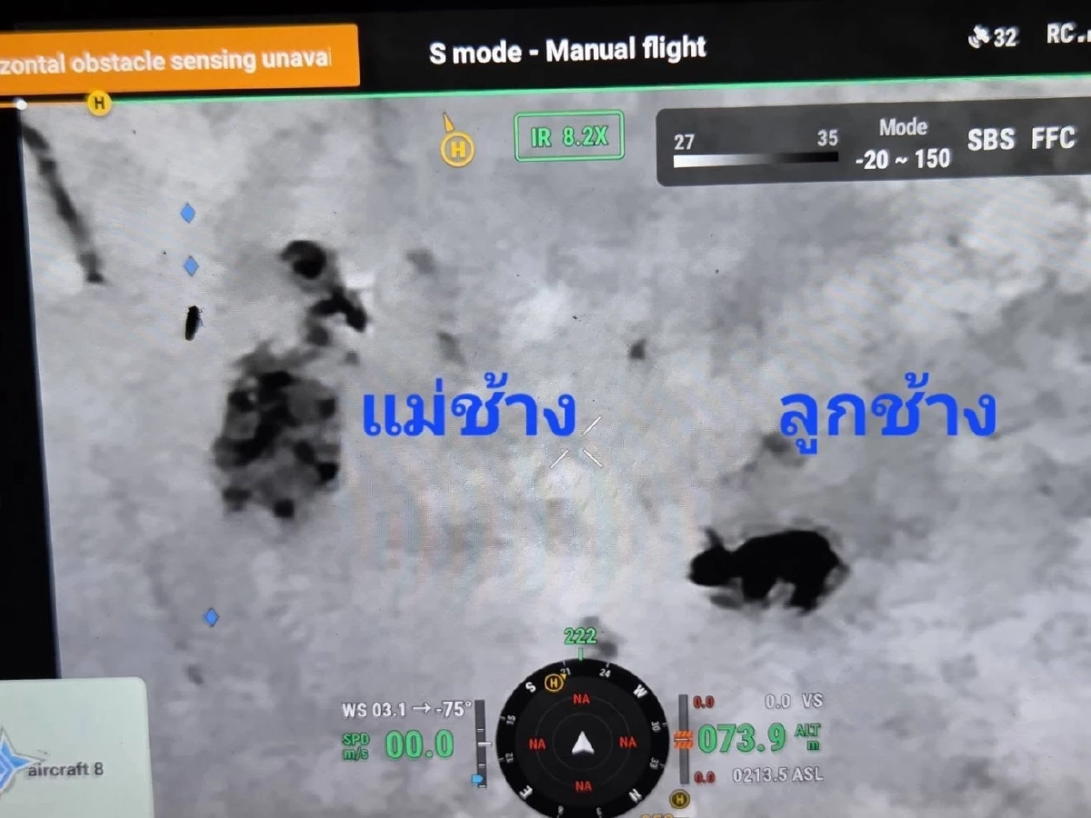 ระทึก! จนท.เข้าช่วย ลูกช้างป่าอ่างฤาไนติดบ่วงดักสัตว์