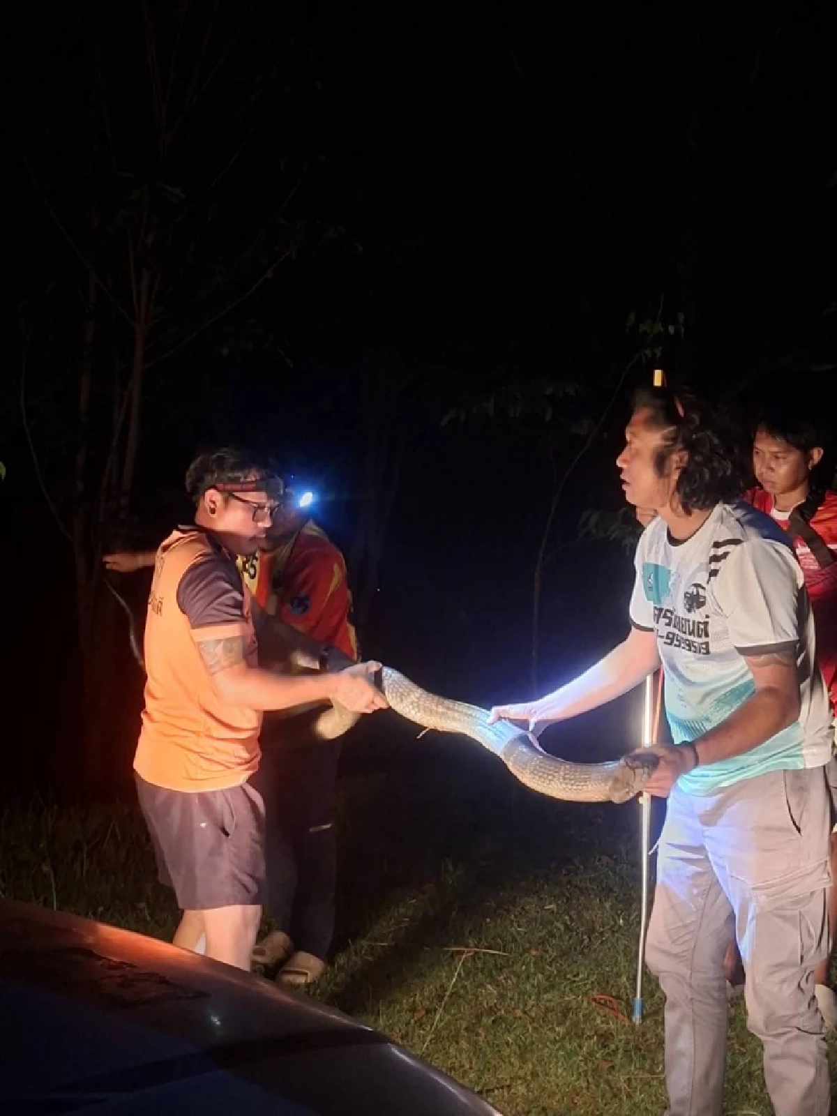 ส่องบ้านเลขที่ งูจงอางขนาดใหญ่ 4 เมตร เลื้อยซุกเข้าบ้าน