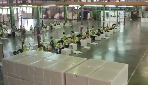 300 ชีวิตน้ำตาคลอ โรงงานดังไปต่อไม่ไหว ประกาศปิดกิจการ