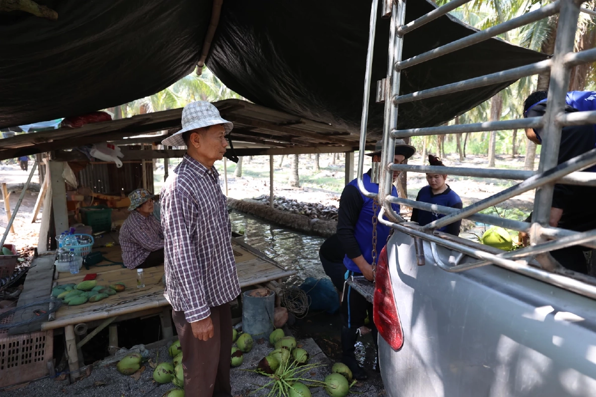 "ดอยคำ"ผนึก พี วาย ไทยฟรุต แก้วิกฤตมะพร้าวล้นตลาดราชบุรี สร้างความมั่นคงให้เกษตรกร