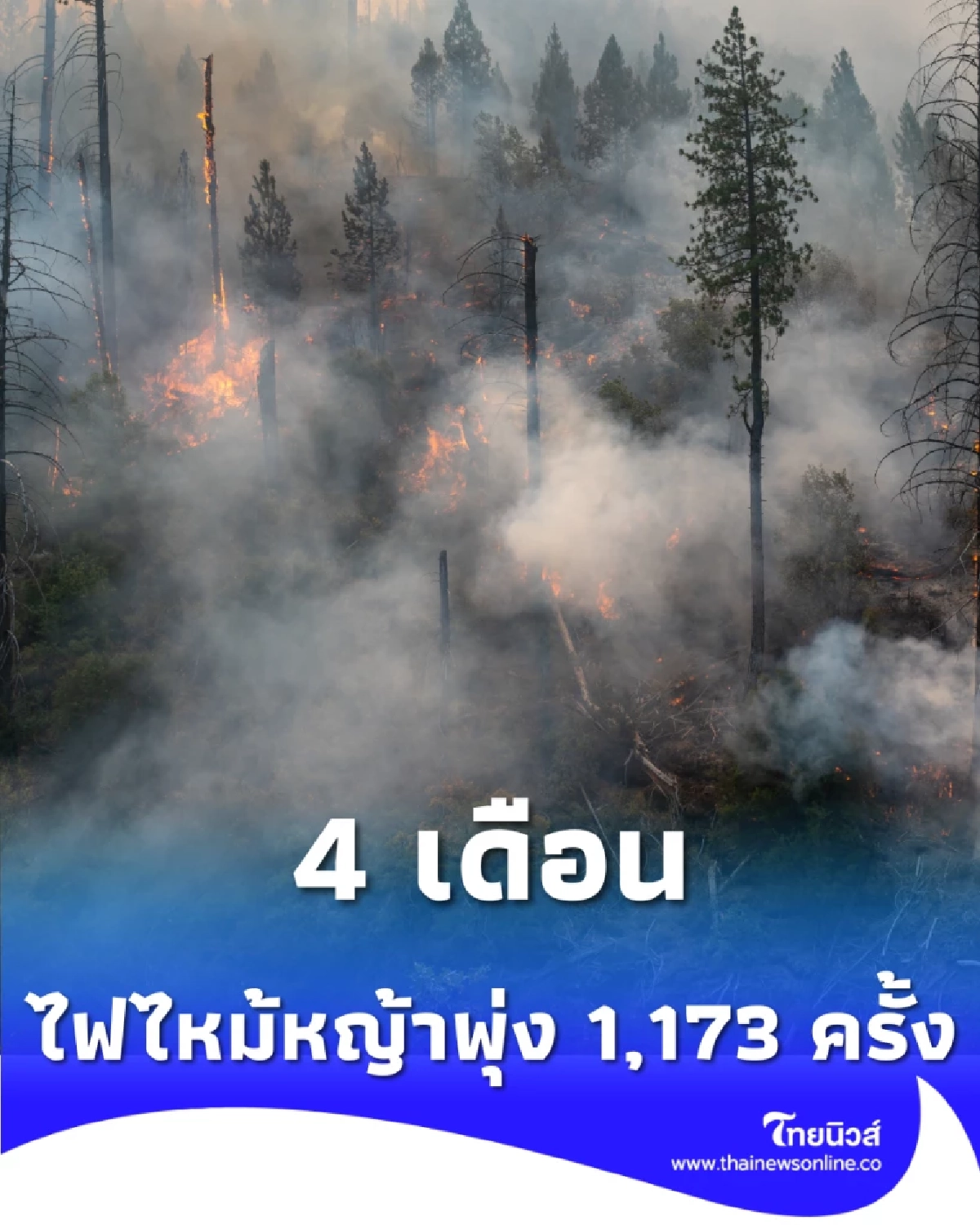 วิกฤตไฟไหม้หญ้า กทม. 4 เดือนทะลุพันครั้ง หนองจอกแชมป์เหตุสูงสุด